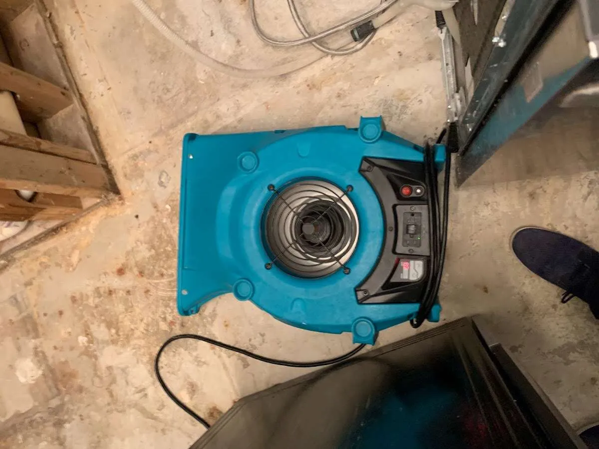 Air mover drying equipment for Mold Remediation & Removal in Smithtown